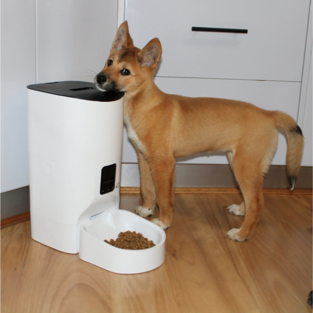 Automatic Pet Feeder