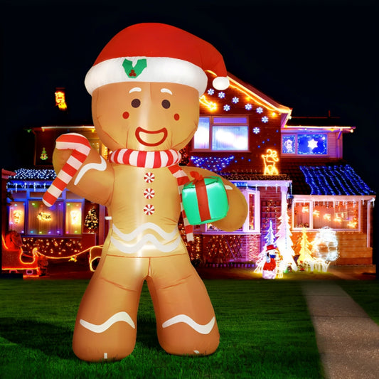 Christmas Inflatables